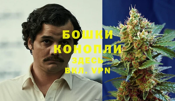 Альфа ПВП Костерёво