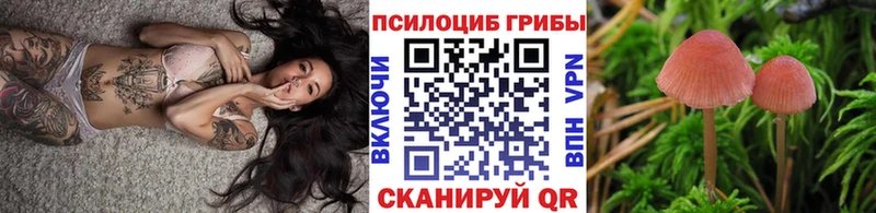 Галлюциногенные грибы MAGIC MUSHROOMS  Купить где  Находка 