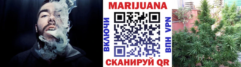 Купить где  Находка  Конопля SATIVA & INDICA 